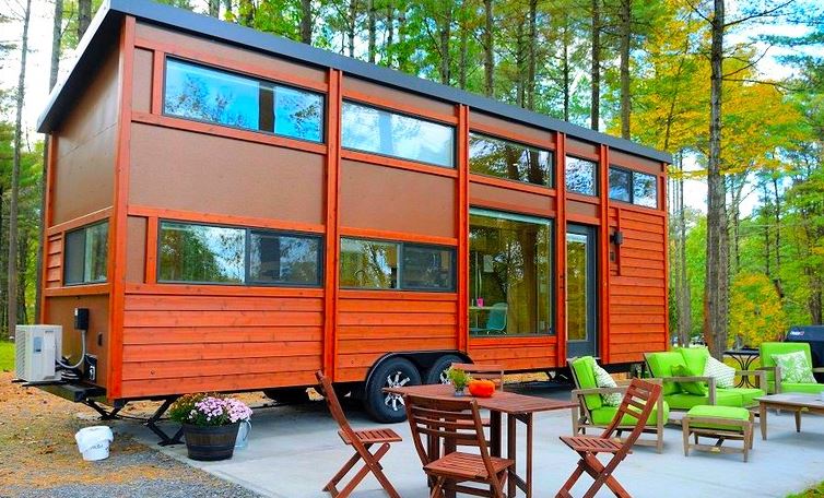 news anchor background tiny home in newyork