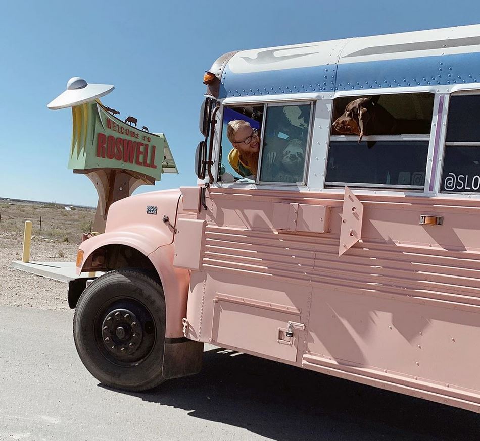 School Bus Conversion