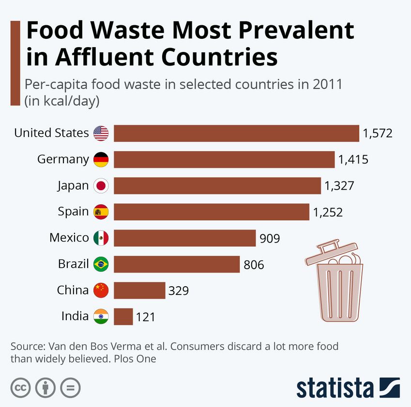 how to reduce food wastage in a tiny house