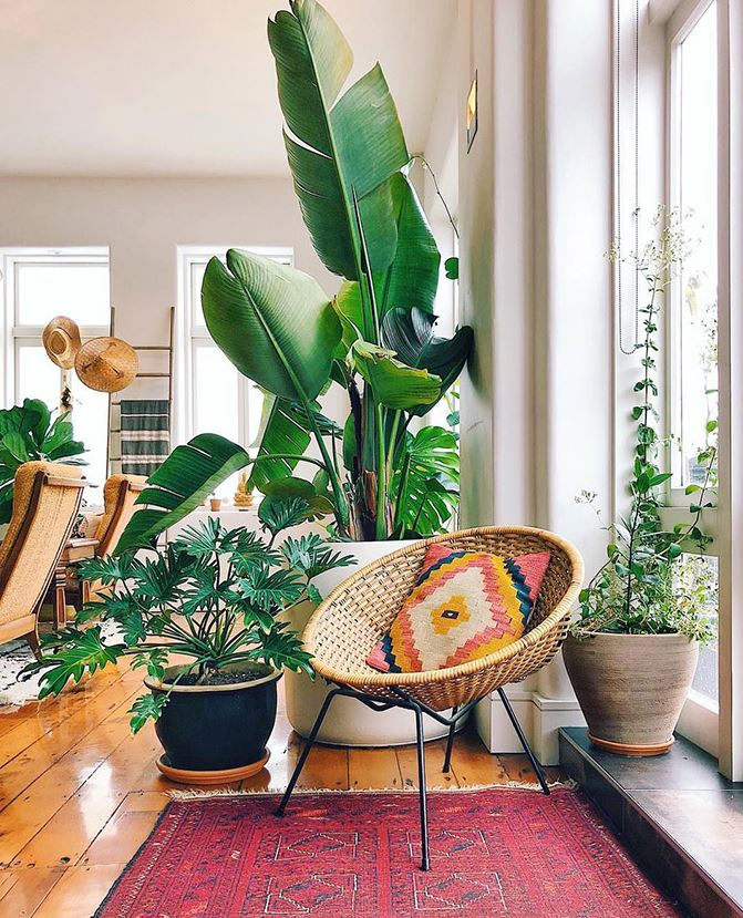 Tropical boho decor ideas for your tiny house or small space 2